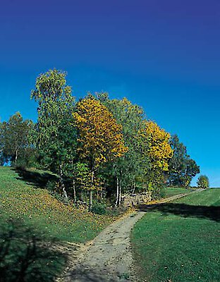 Herbst im Bayerischen Wald
